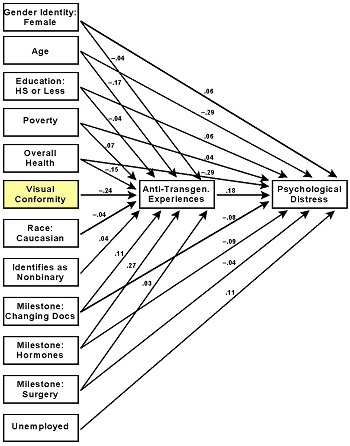 Structural Equation Model