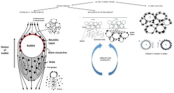 Gangue recovery mechanisms