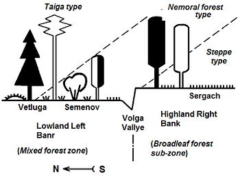 3D phytogeographic ecotone