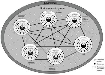 A stellar organisations