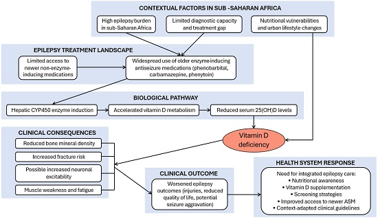 Conceptual framework